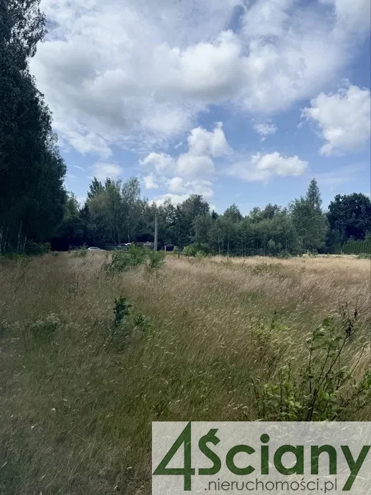 10142/3098/OGS - zdjęcie nr 1