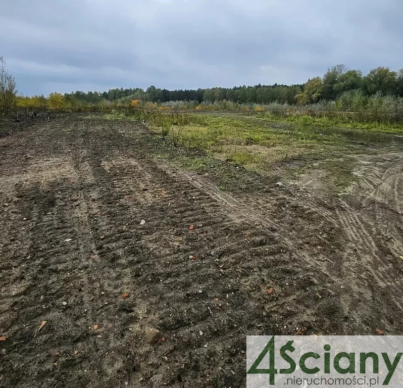 Działka 46 050,00 m², oferta nr , 9007/3098/OGS, Żółwin