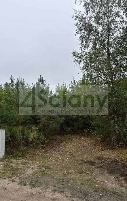 Apartamenty 10268/3098/OGS Żółwin