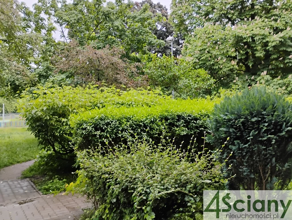 1 pokój, apartament 19,50 m², piętro 2, oferta nr , 65377/3098/OMS, Warszawa, Wola, Wola, Erazma Ciołka