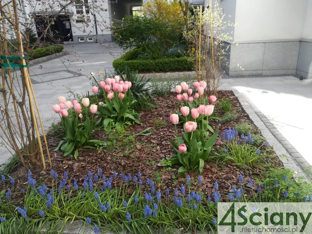 2 pokoje, apartament 75,00 m², piętro 2, oferta nr , 65258/3098/OMS, Warszawa, Śródmieście, Śródmieście, Poznańska