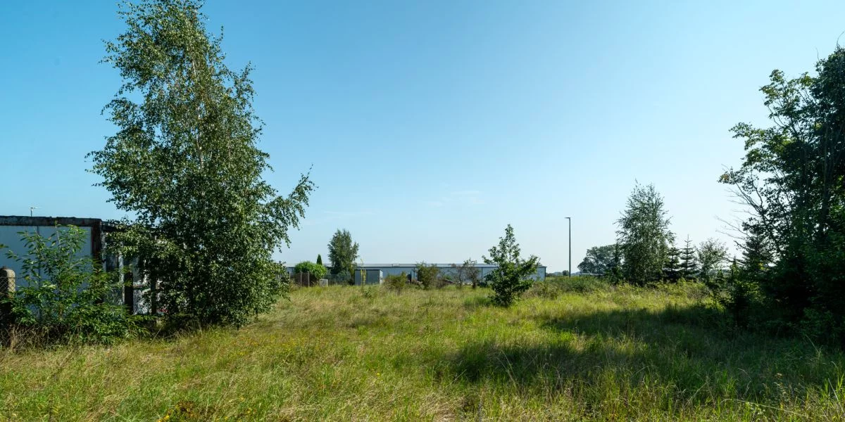 Działka 1 608,00 m², oferta nr , 608287, Cieplewo, Klonowa