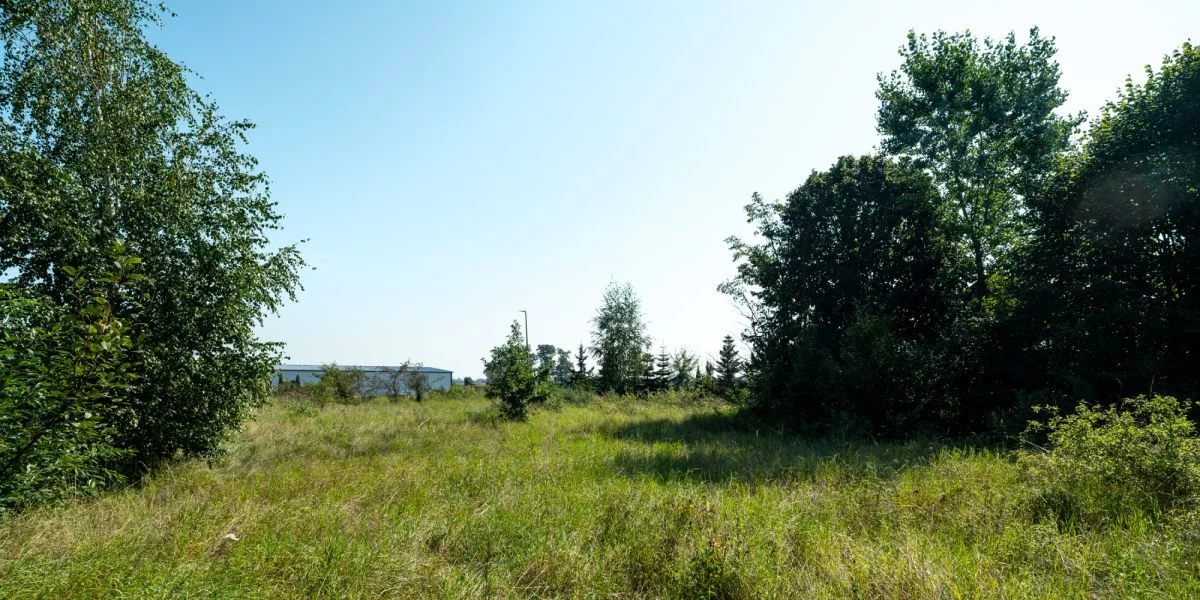 Działka 1 608,00 m², oferta nr , 608287, Cieplewo, Klonowa