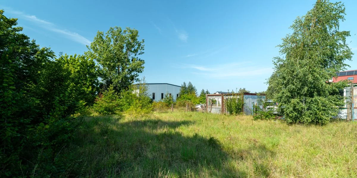 Działka 1 608,00 m², oferta nr , 608287, Cieplewo, Klonowa