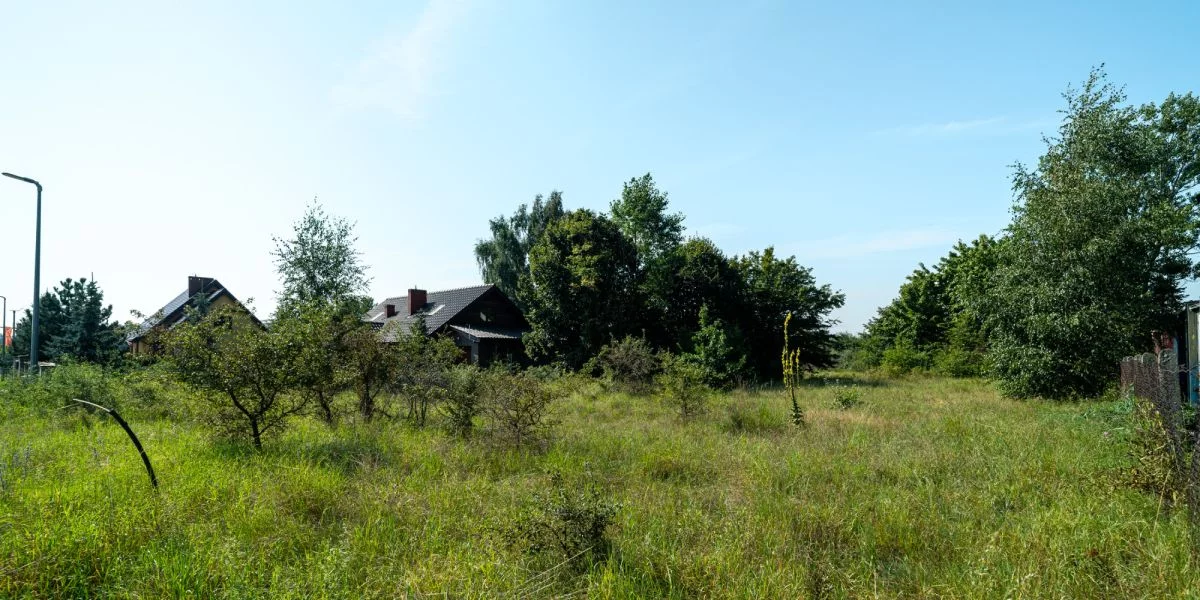 Działka 1 608,00 m², oferta nr , 608287, Cieplewo, Klonowa