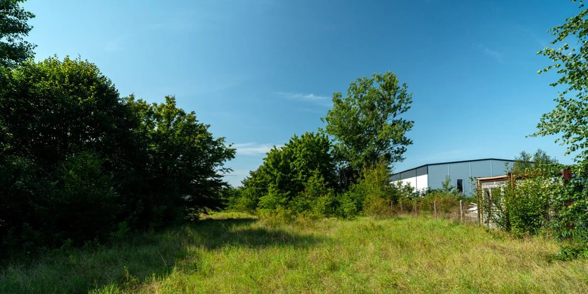 Działka 1 608,00 m², oferta nr , 608287, Cieplewo, Klonowa