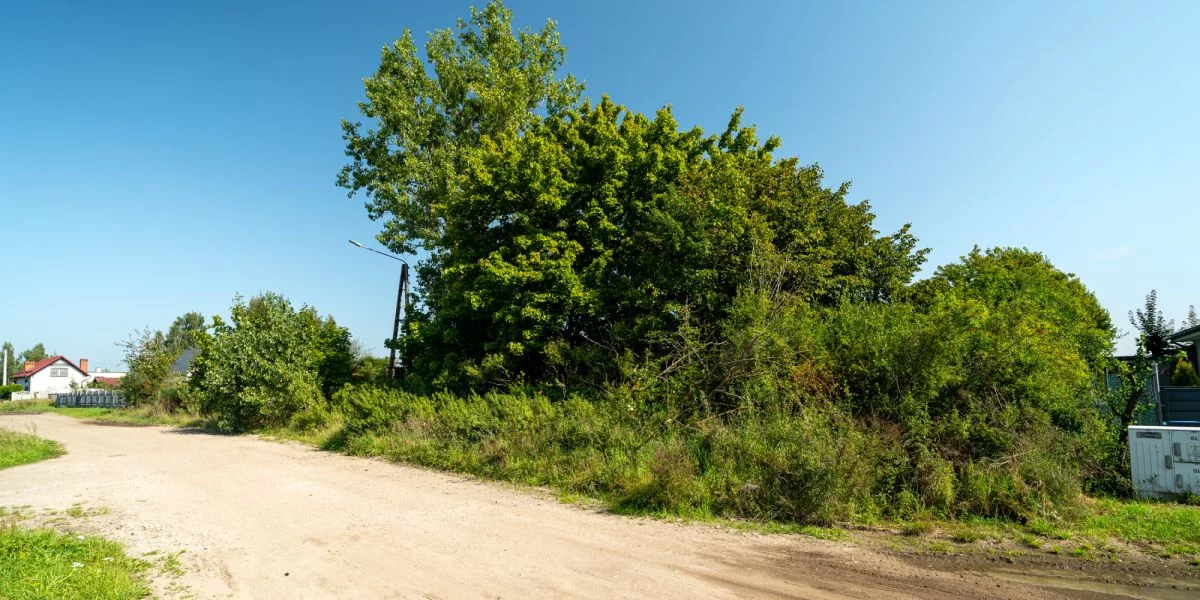 Działka 1 608,00 m², oferta nr , 608287, Cieplewo, Klonowa