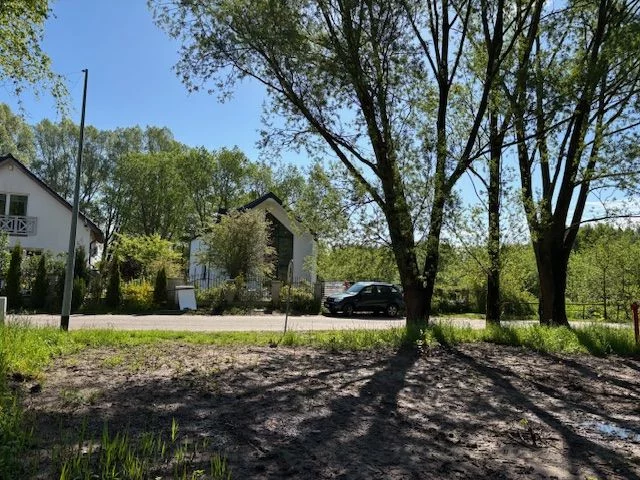 598008920 - zdjęcie nr 4