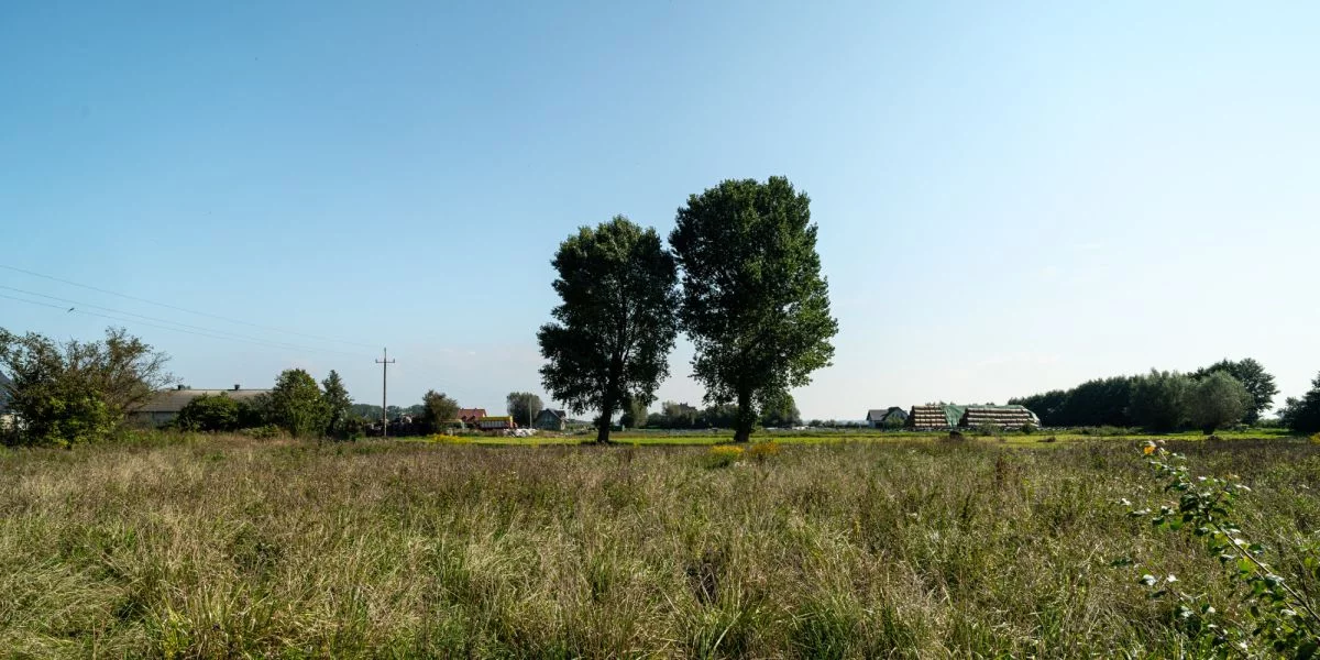 Działka 1 016,00 m², oferta nr , 495972, Cieplewo, Rumiankowa