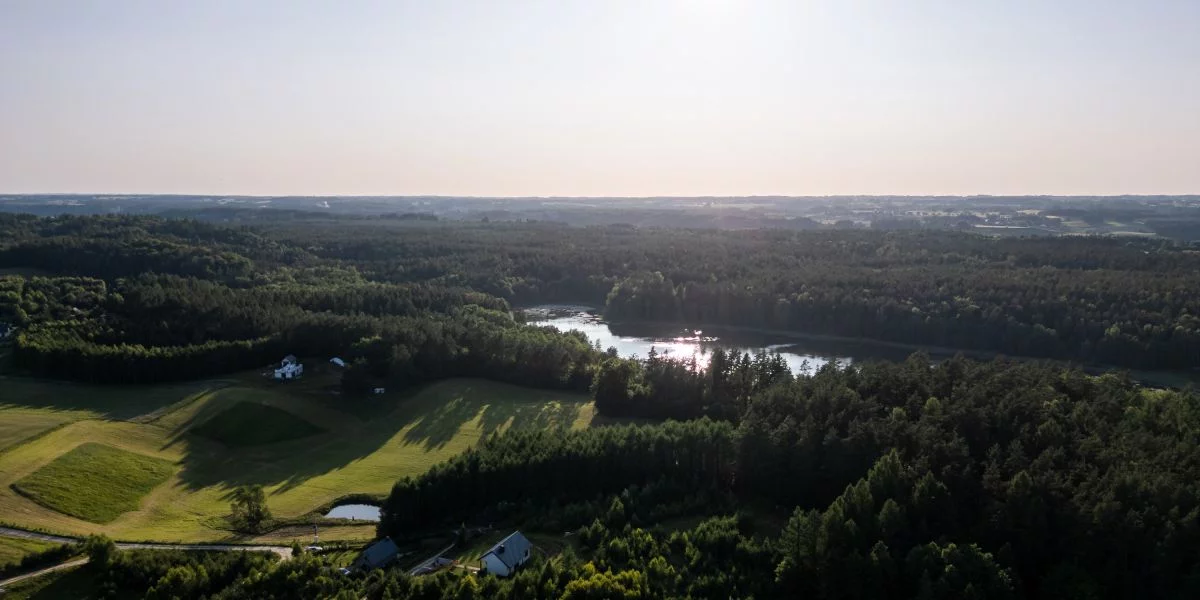 638785133 - zdjęcie nr 0