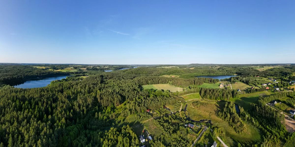 638785133 - zdjęcie nr 1