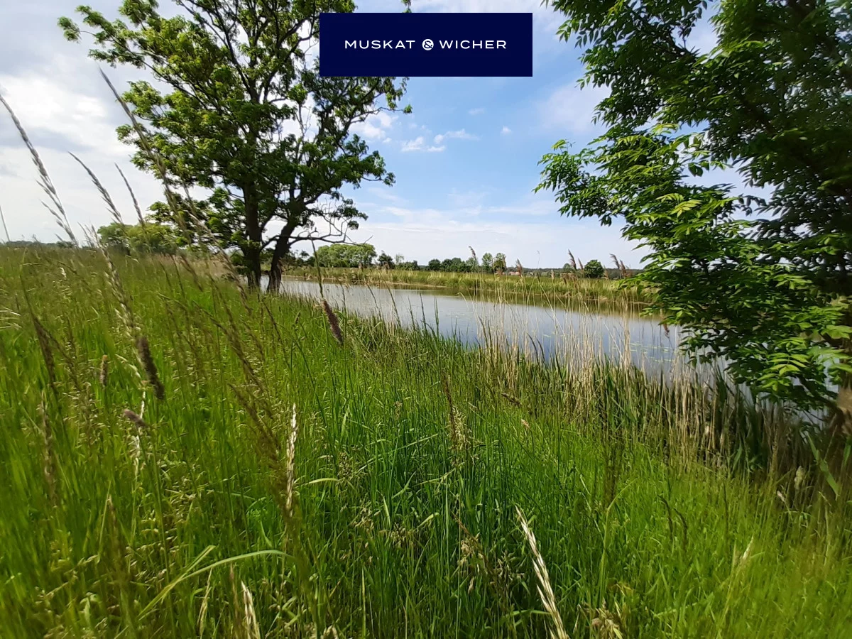Apartamenty 640486 Sztutowo