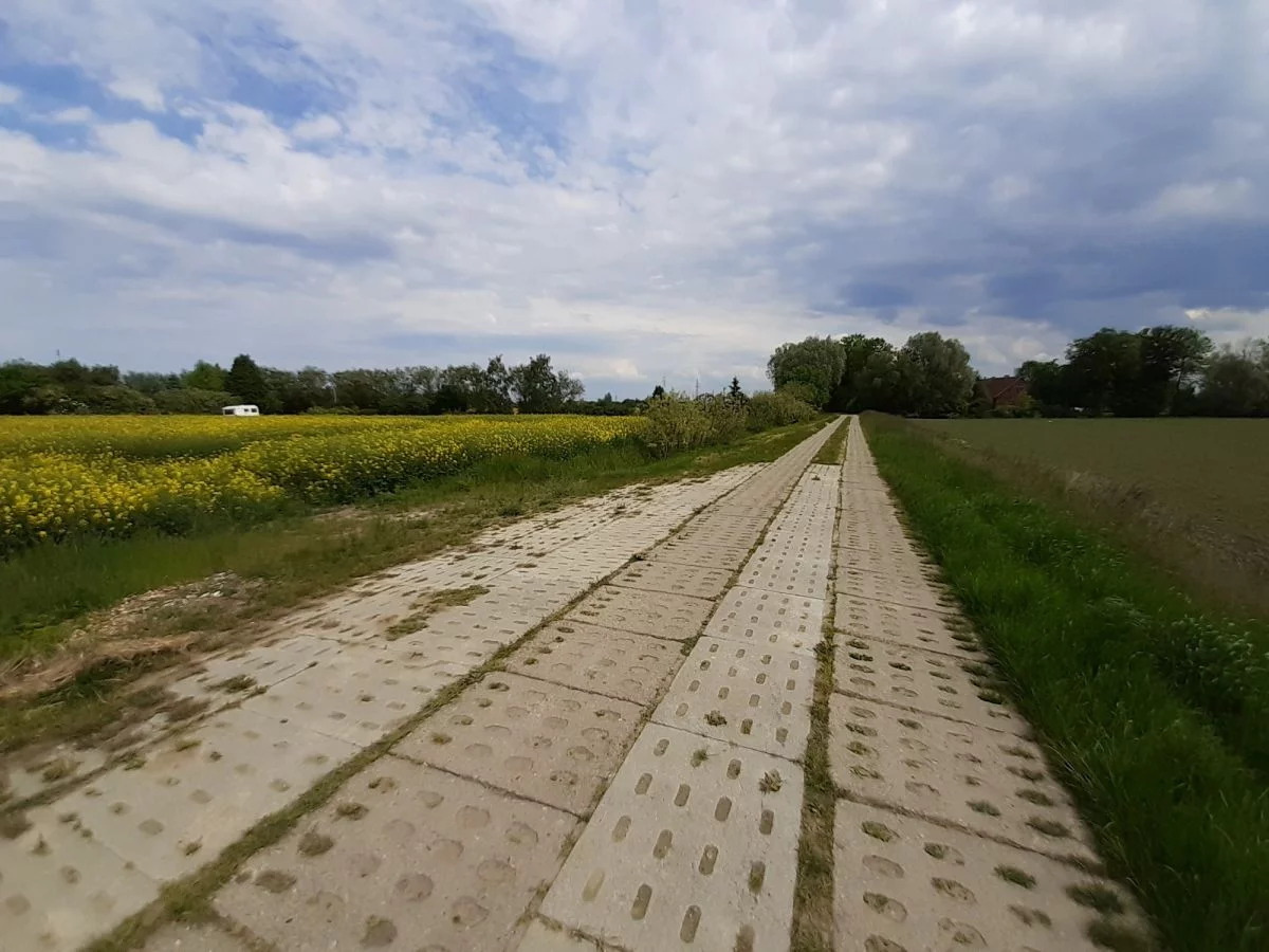 Działka 16 020,00 m², oferta nr , 640486, Sztutowo