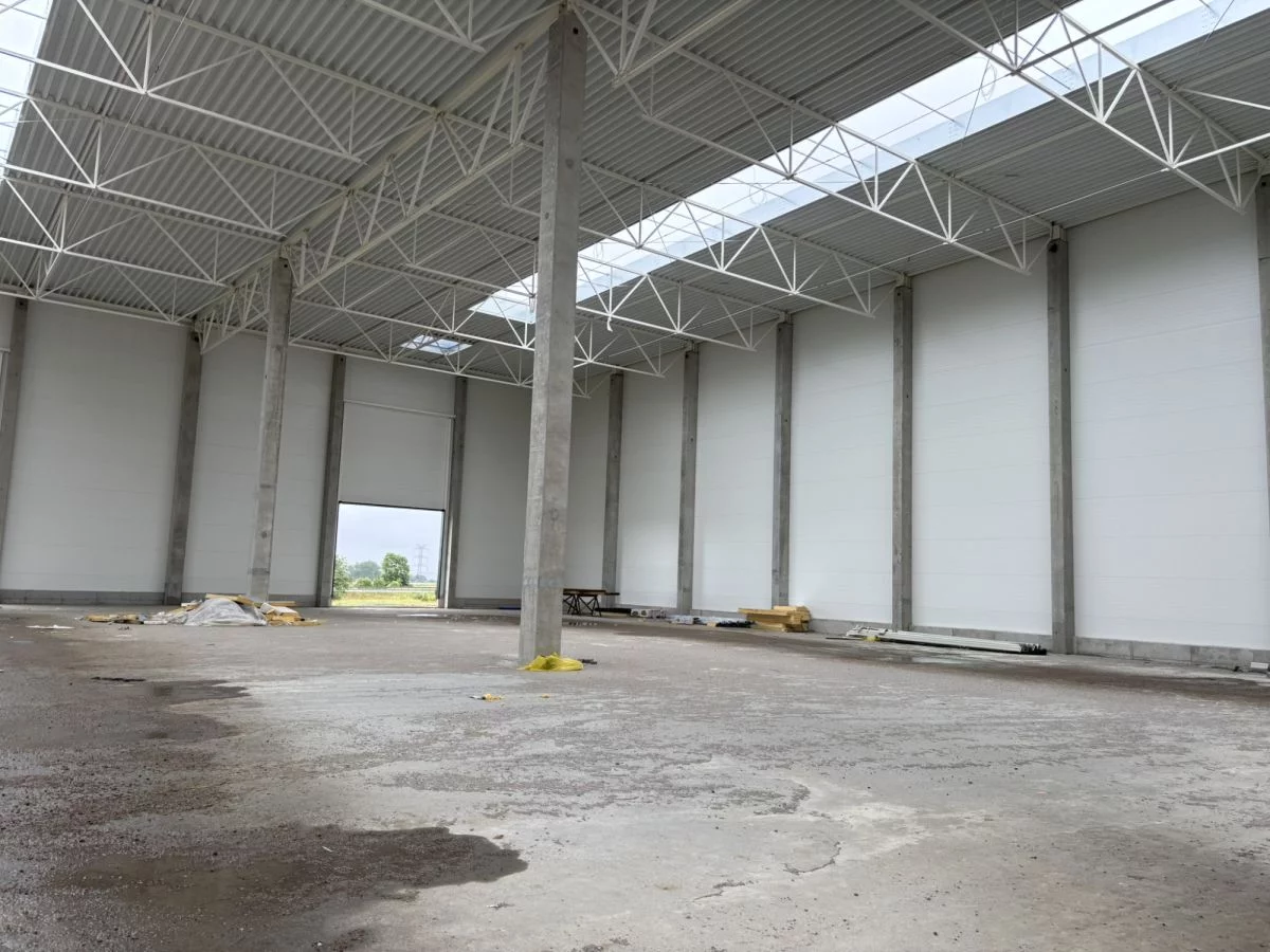 Magazyn 3 700,00 m², oferta nr , 119397963, Miszewo