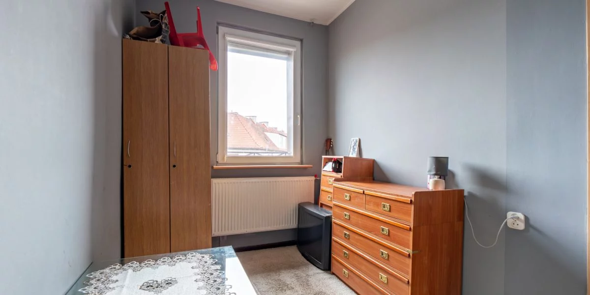 245368039 - zdjęcie nr 2
