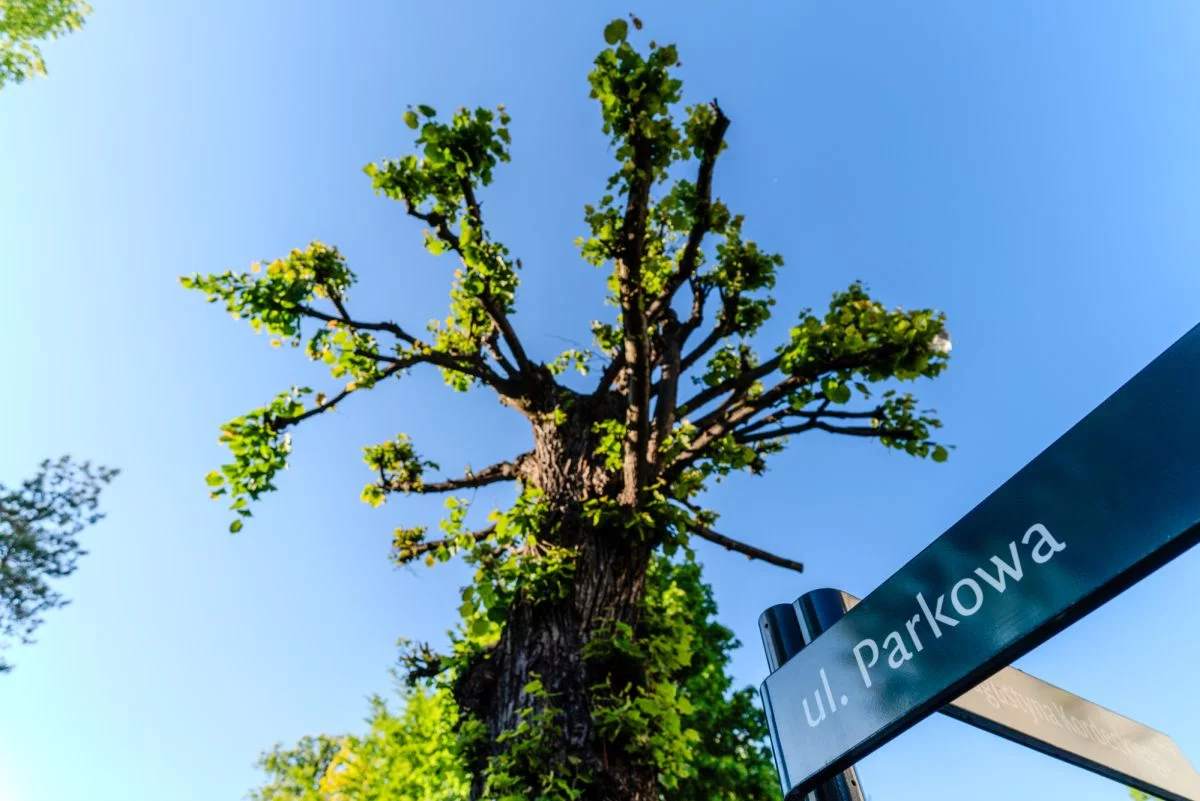 2 pokoje, mieszkanie 62,98 m², piętro 2, oferta nr , 720192, Sopot, Parkowa