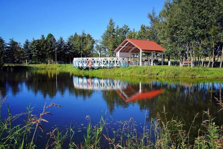 Dom 81,00 m², oferta nr , 24118, Kukinka