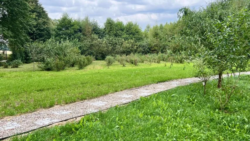 Działka 6 000,00 m², oferta nr , 24429, Błotnica, Błotnica