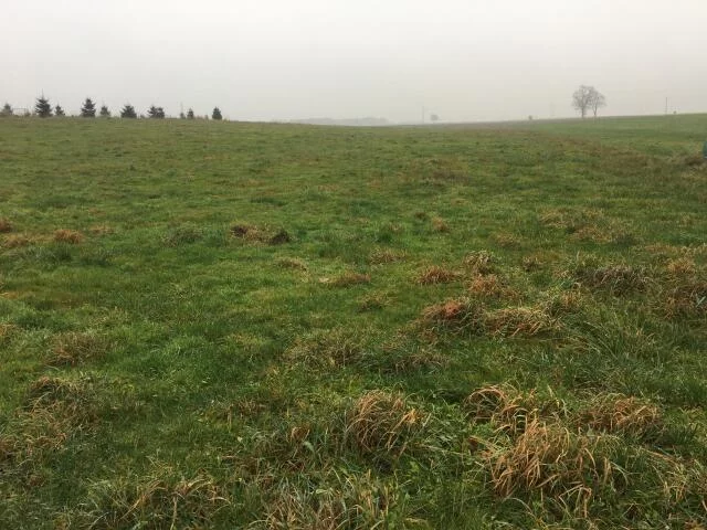 Działka 10 060,00 m², oferta nr , 23094, Bogucino