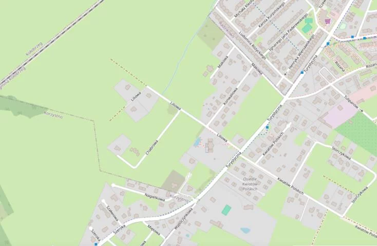 Działka 3 594,00 m², oferta nr , 24564, Zieleniewo, Chabrowa