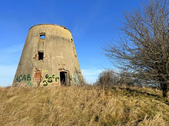 Działka 8 100,00 m², Czernin, Sprzedaż