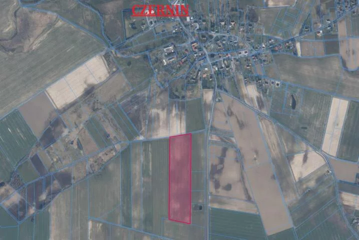 Działka 64 500,00 m², oferta nr , 24411, Czernin, Czernin
