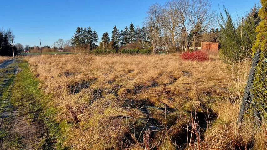 Działka 2 692,00 m², oferta nr , 24510, Czernin, Czernin