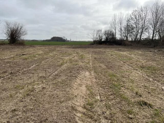 23629 - zdjęcie nr 2