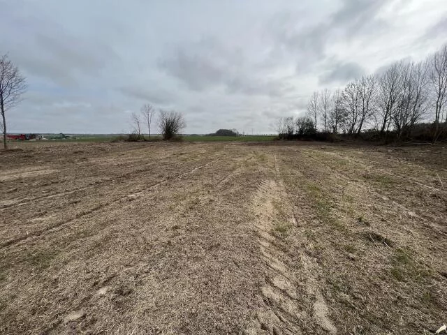 23629 - zdjęcie nr 3