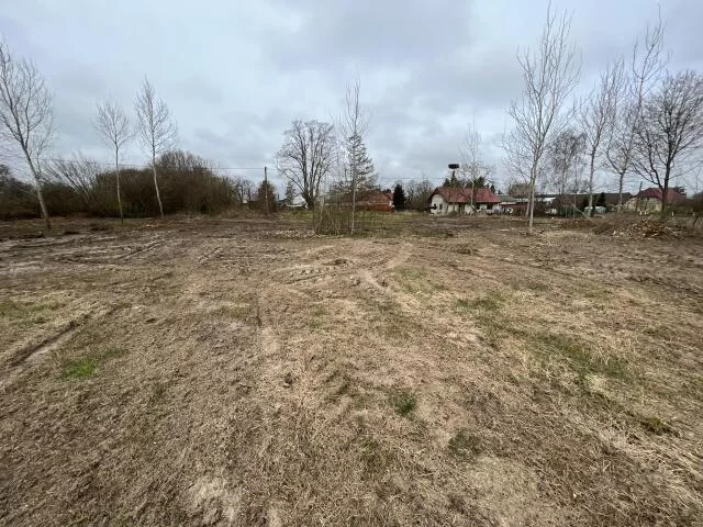23629 - zdjęcie nr 4