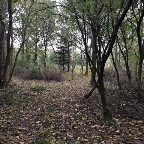 Działka 102 772,00 m², oferta nr , 23619, Dygowo, Lipowa