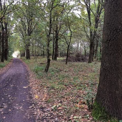 Działka 102 772,00 m², oferta nr , 23619, Dygowo, Lipowa