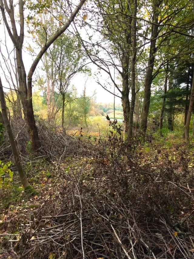 Działka 102 772,00 m², oferta nr , 23619, Dygowo, Lipowa