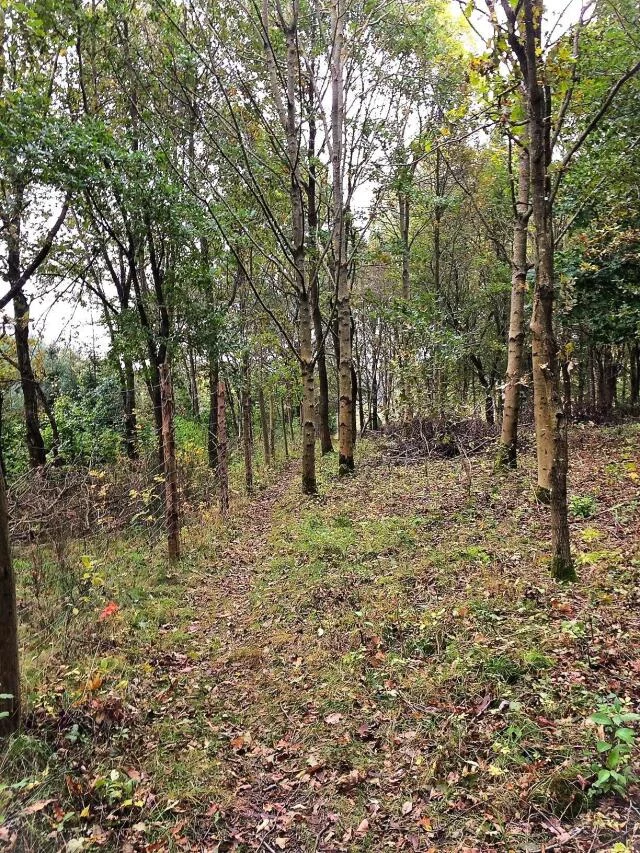 Działka 102 772,00 m², oferta nr , 23619, Dygowo, Lipowa