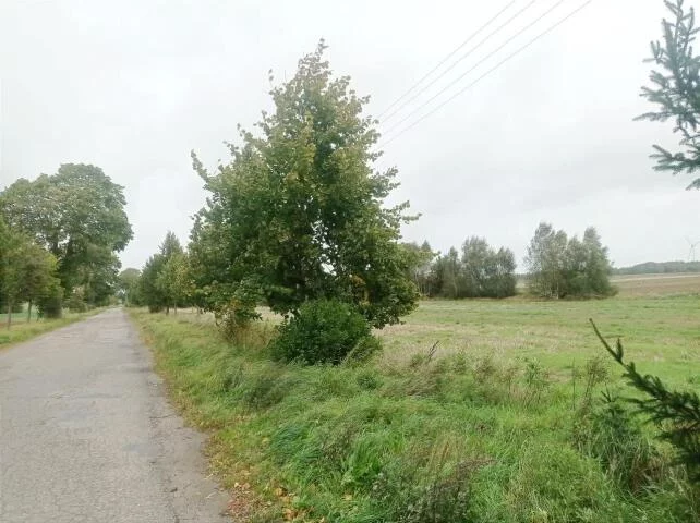Działka 4 950,00 m², oferta nr , 24030, Morowo, Morowo