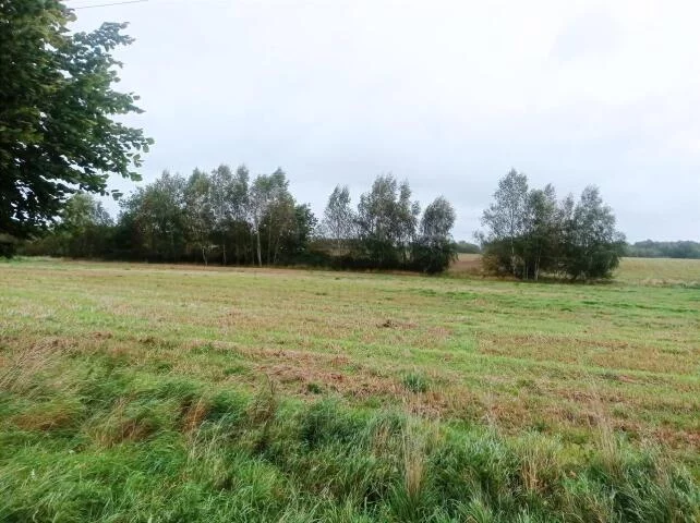 Działka 4 950,00 m², oferta nr , 24030, Morowo, Morowo