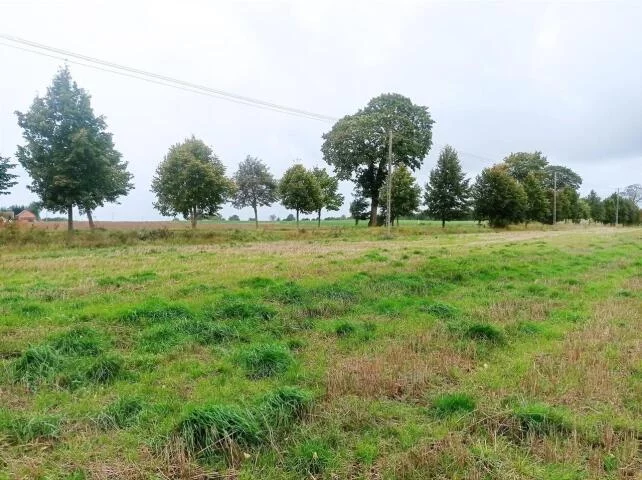 Działka 4 950,00 m², oferta nr , 24030, Morowo, Morowo