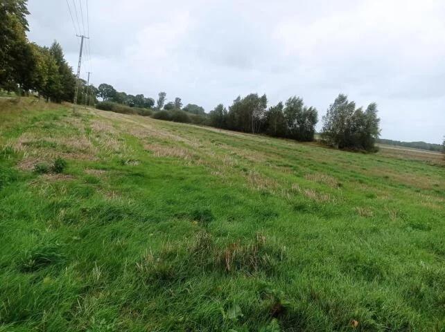 Działka 4 950,00 m², oferta nr , 24030, Morowo, Morowo