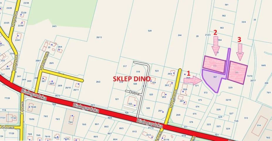 Działka 3 704,00 m², oferta nr , 23784, Niekanin, Niekanin