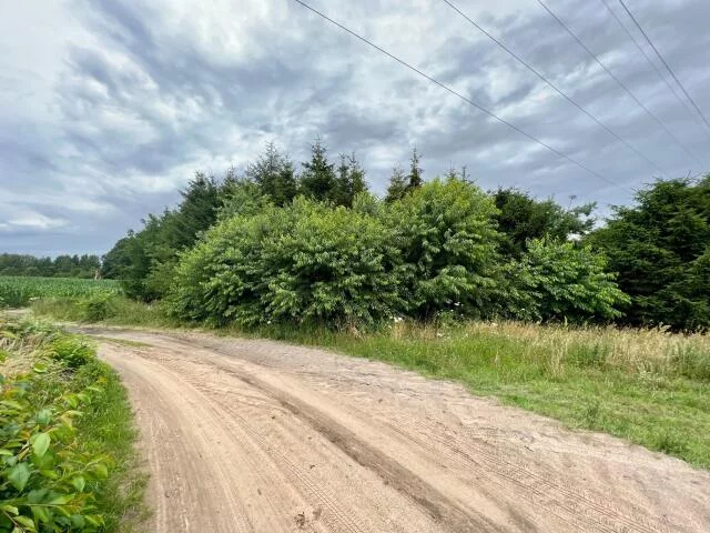 Działka 7 300,00 m², oferta nr , 18528, Obroty, Obroty