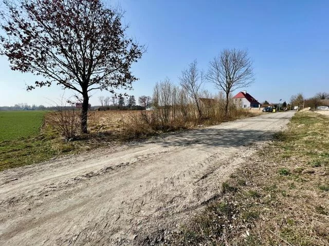 Działka 801,00 m², oferta nr , 23605, Ołużna, Ołużna