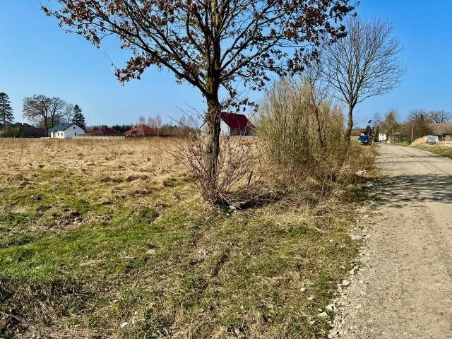 Działka 801,00 m², oferta nr , 23605, Ołużna, Ołużna