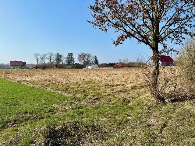 Działka 801,00 m², oferta nr , 23605, Ołużna, Ołużna