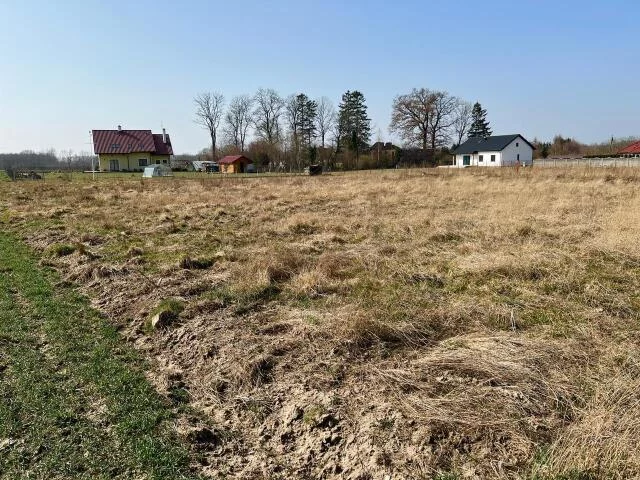 Działka 801,00 m², oferta nr , 23605, Ołużna, Ołużna