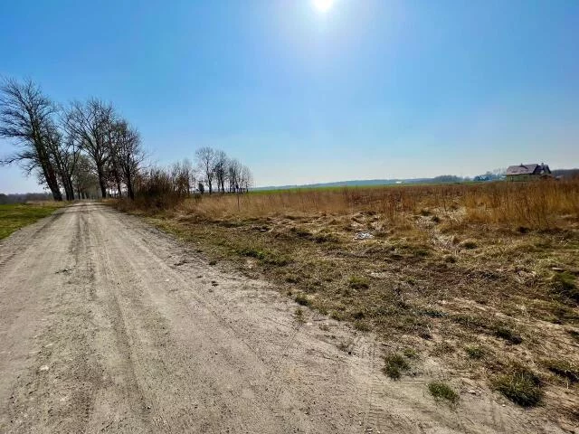 Działka 801,00 m², oferta nr , 23605, Ołużna, Ołużna
