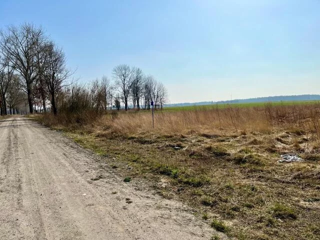Działka 801,00 m², oferta nr , 23605, Ołużna, Ołużna