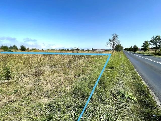 Działka 15 000,00 m², oferta nr , 15476, Niekanin, Polankowa