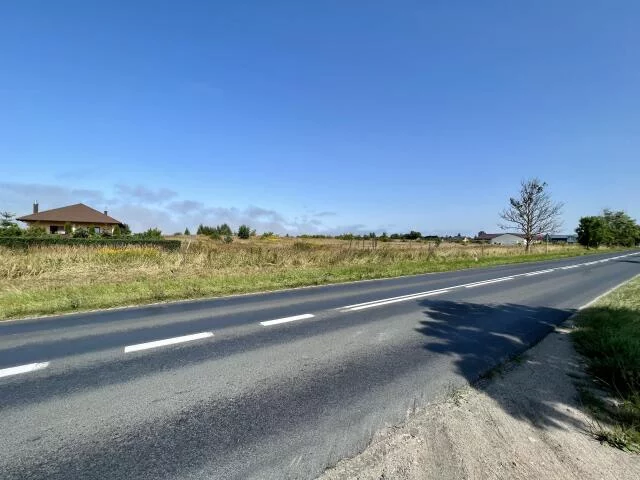 Działka 15 000,00 m², oferta nr , 15476, Niekanin, Polankowa