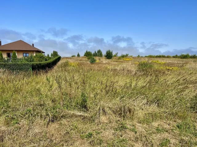 Działka 15 000,00 m², oferta nr , 15476, Niekanin, Polankowa