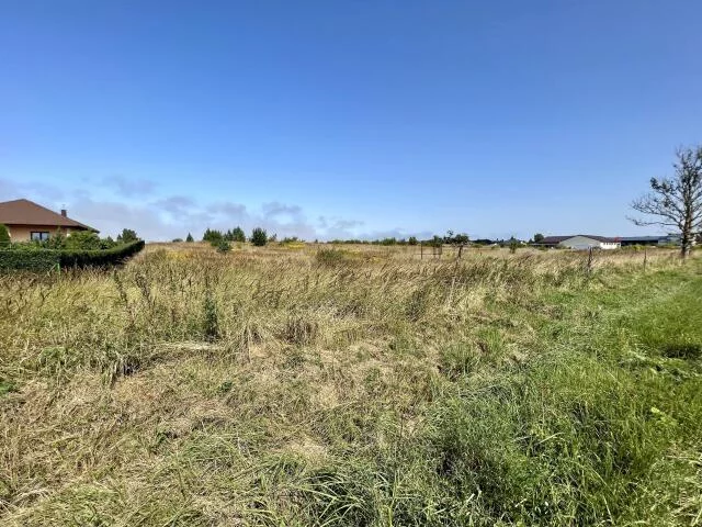 Działka 15 000,00 m², oferta nr , 15476, Niekanin, Polankowa
